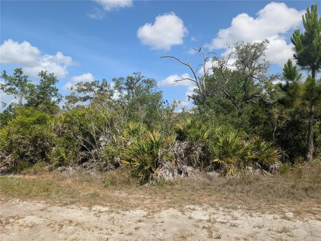 Lakeland Drive Indian Lake Estates FL 33855