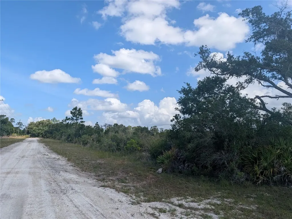 Lakeland Drive Indian Lake Estates FL 33855