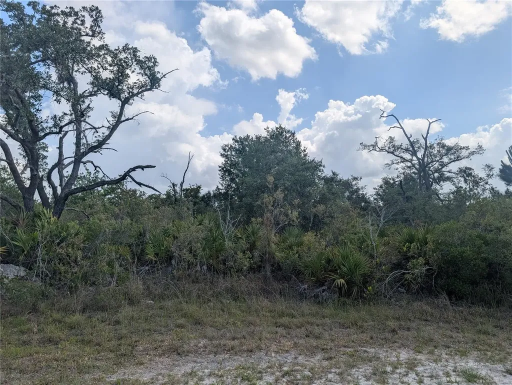 Lakeland Drive Indian Lake Estates FL 33855