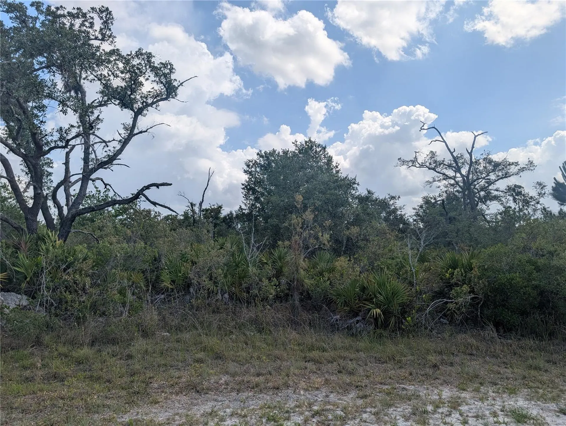 Lakeland Drive Indian Lake Estates FL 33855