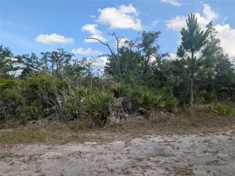 Lakeland Drive Indian Lake Estates FL 33855