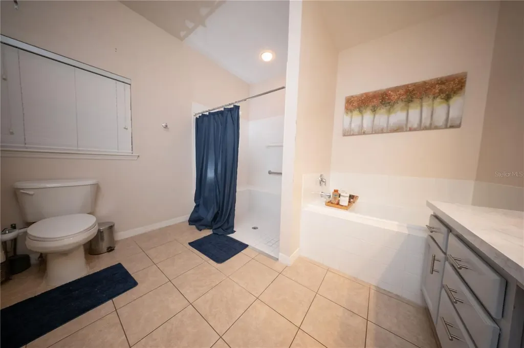 8032 Acadia Estates Court Kissimmee FL 34747