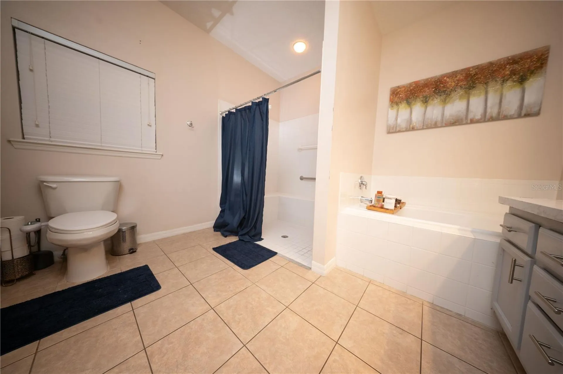 8032 Acadia Estates Court Kissimmee FL 34747