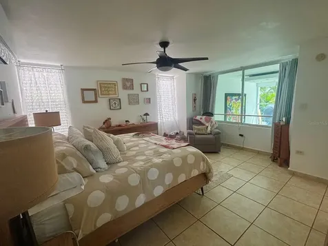 C Lerida Caguas PR 00727