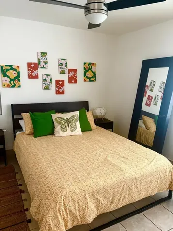 C Lerida Caguas PR 00727