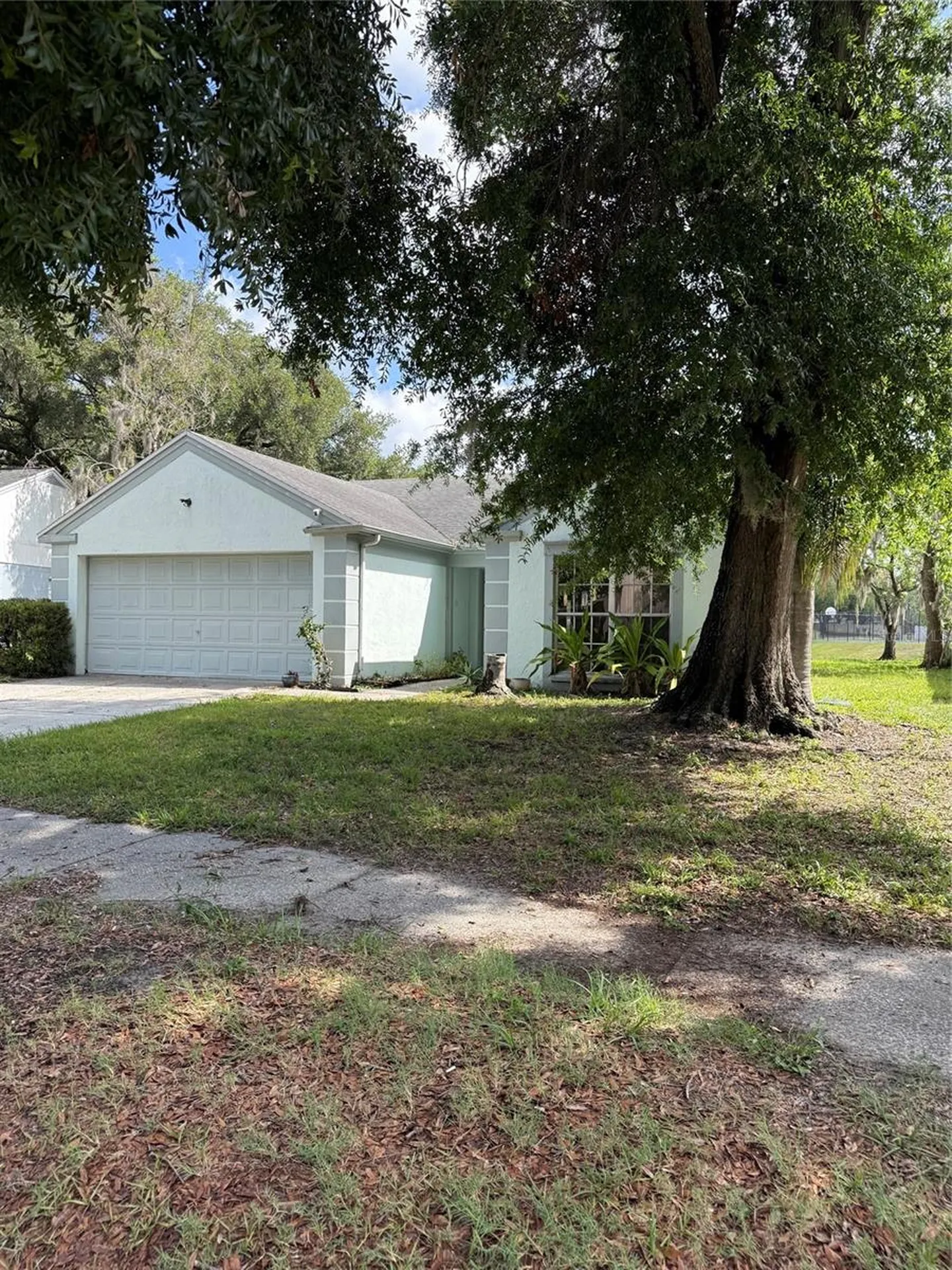 1636 Baker Road Lutz FL 33559
