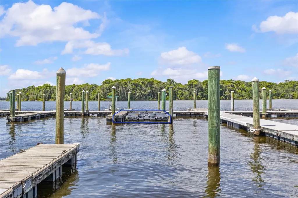 99 Broad River Place Welaka FL 32193