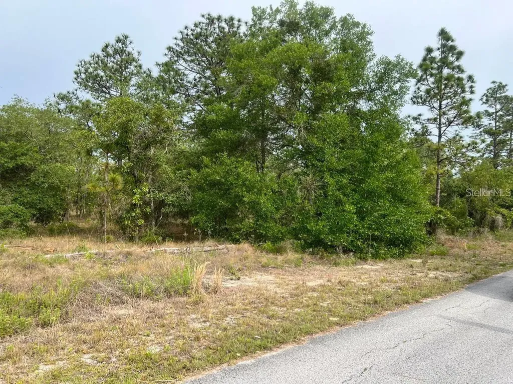 Southwest Pensacola Drive Dunnellon FL 34431