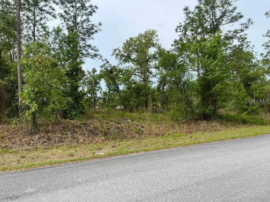 Southwest Pensacola Drive Dunnellon FL 34431
