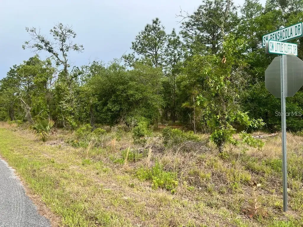 Southwest Pensacola Drive Dunnellon FL 34431