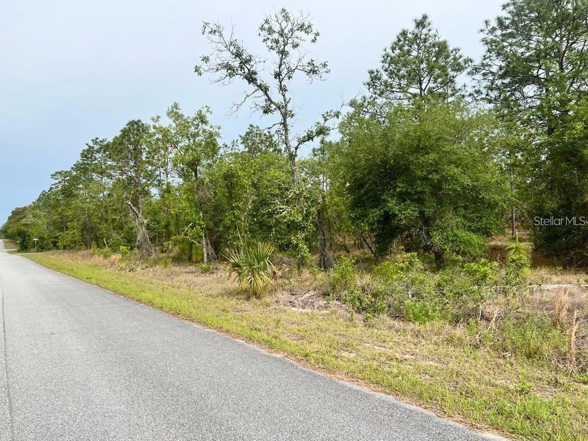 Southwest Pensacola Drive Dunnellon FL 34431