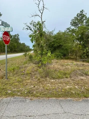 Southwest Pensacola Drive Dunnellon FL 34431