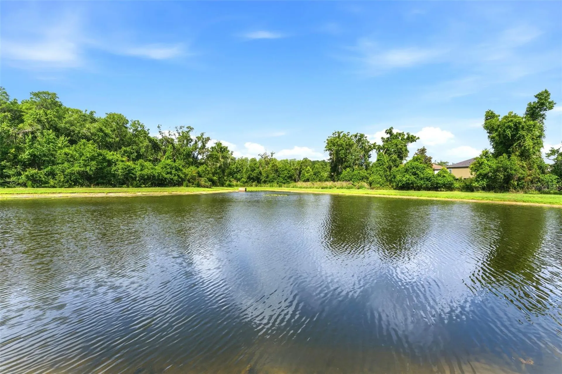 9847 Edmonton Drive Land O Lakes FL 34638