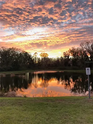 9847 Edmonton Drive Land O Lakes FL 34638