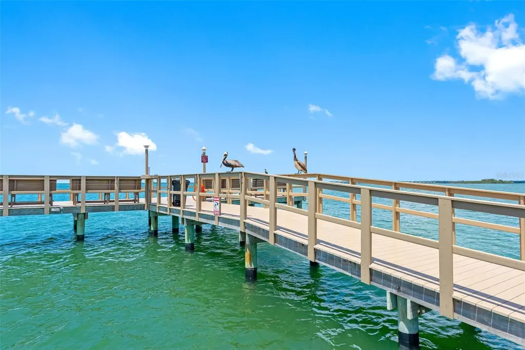 1 Gateshead Drive Dunedin FL 34698