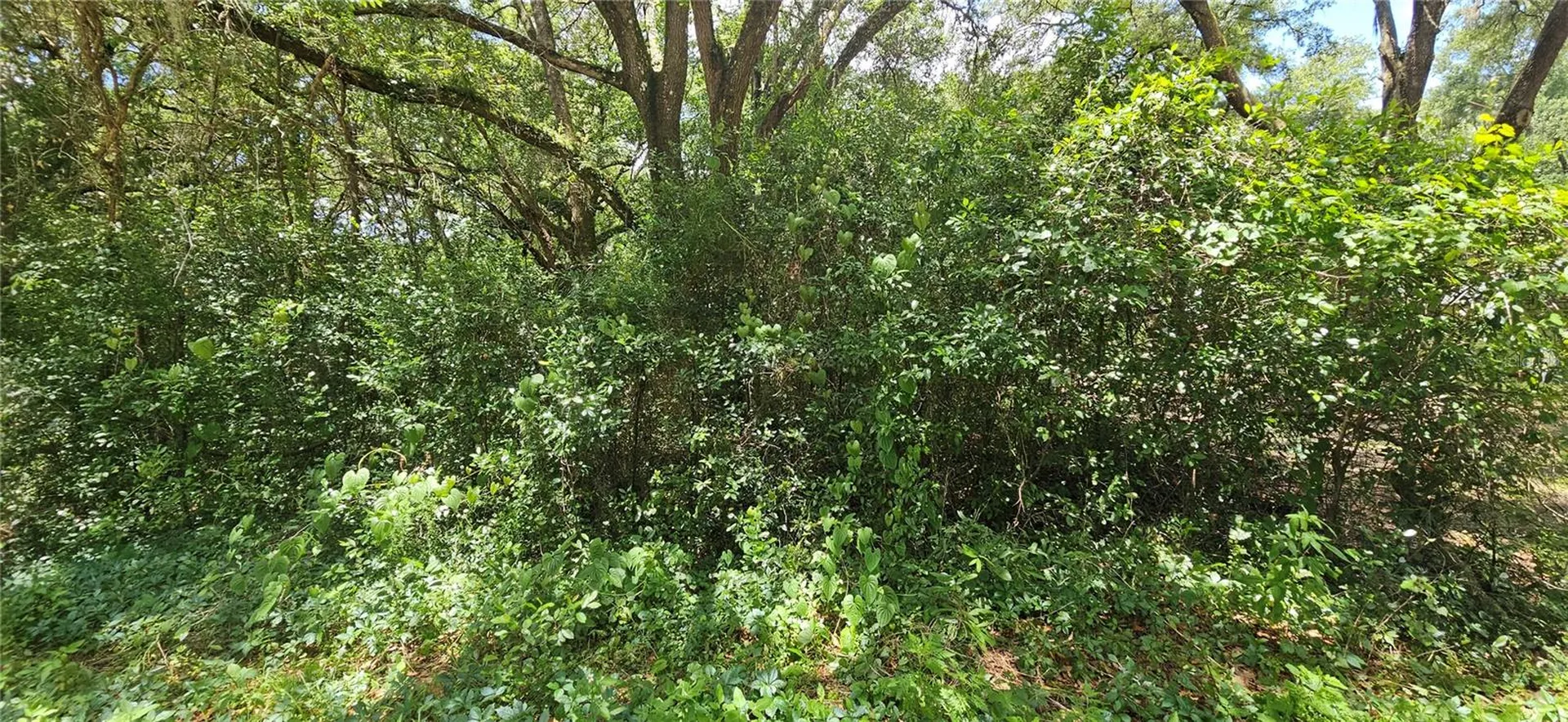 SE 27th Court Summerfield FL 34491