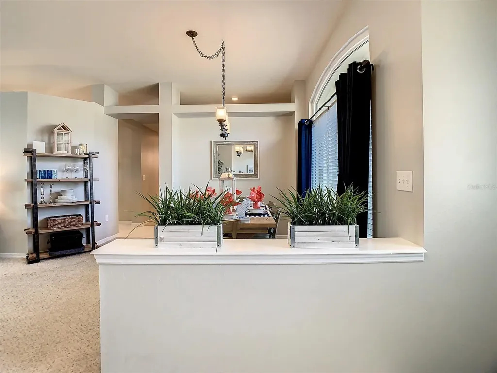 1521 Crooked Stick Drive Valrico FL 33596