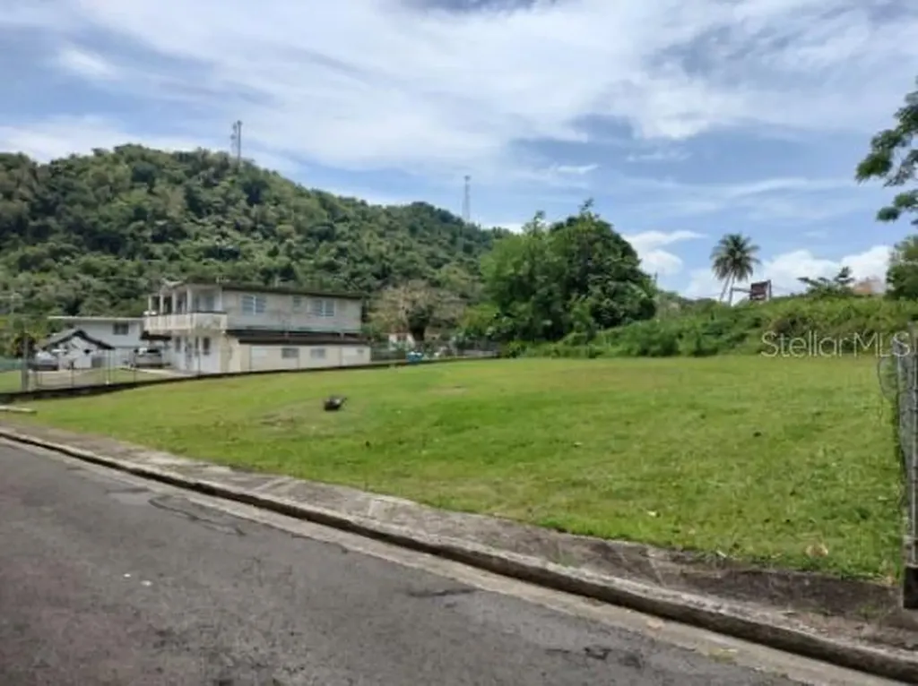Carr. 98.5 Fajardo PR 00738