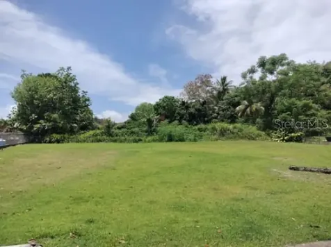 Carr. 98.5 Fajardo PR 00738