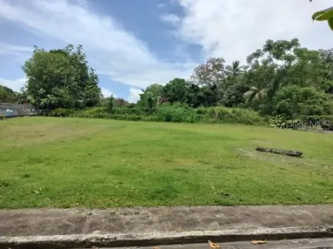 Carr. 98.5 Fajardo PR 00738