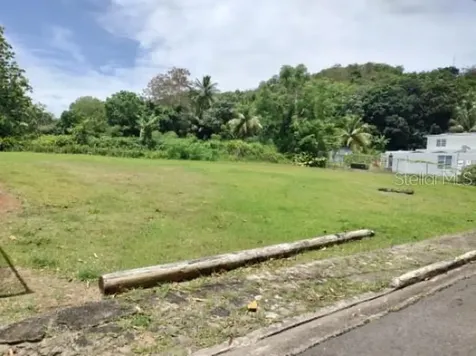 Carr. 98.5 Fajardo PR 00738