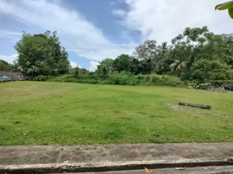 Carr. 98.5 Fajardo PR 00738