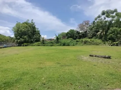 Carr. 98.5 Fajardo PR 00738