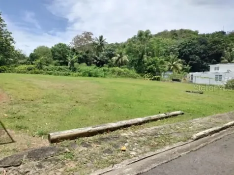 Carr. 98.5 Fajardo PR 00738