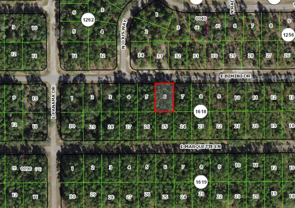546 E Bimini Drive Dunnellon FL 34434