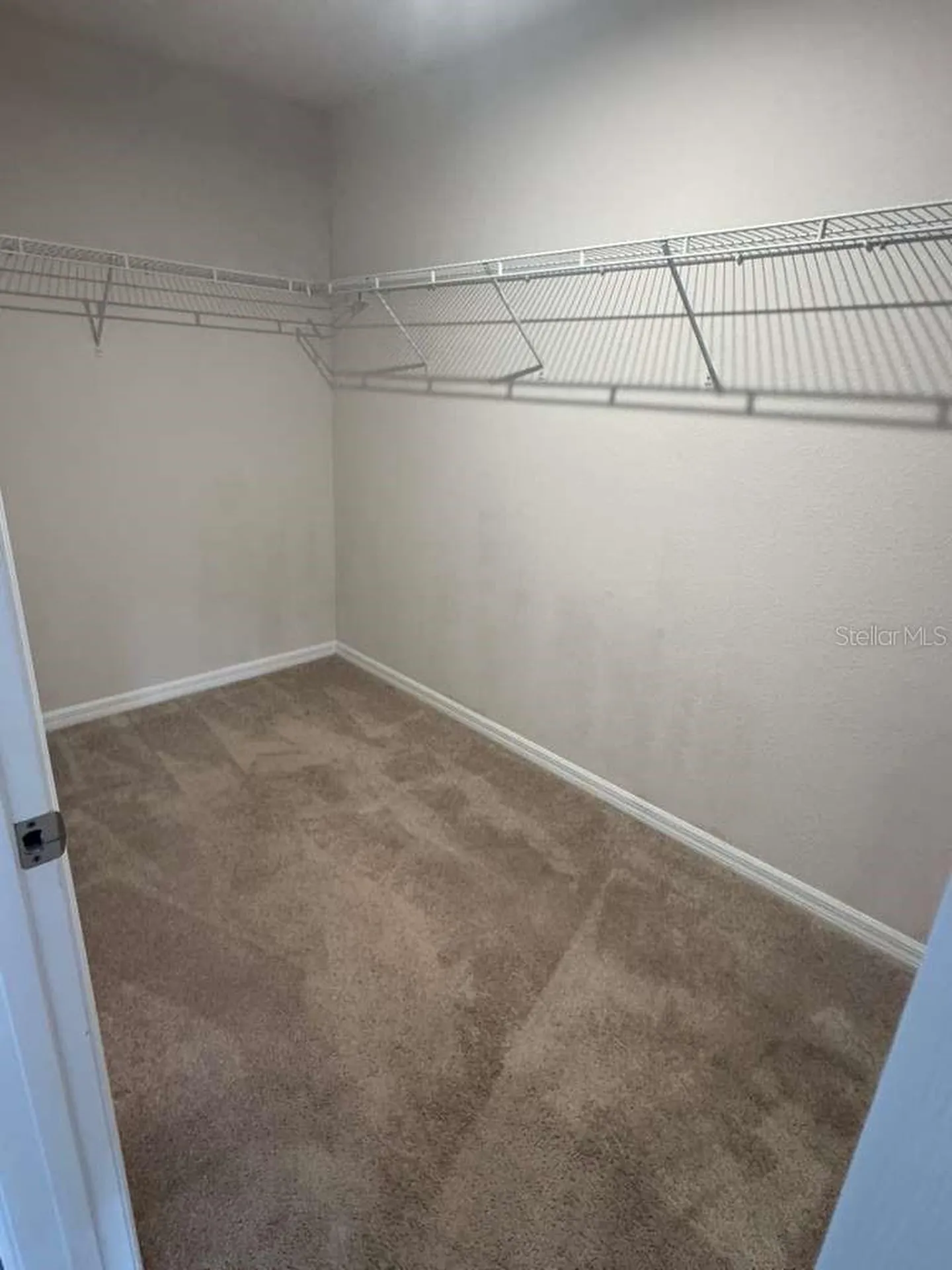 6131 Elfin Herb Way Winter Garden FL 34787