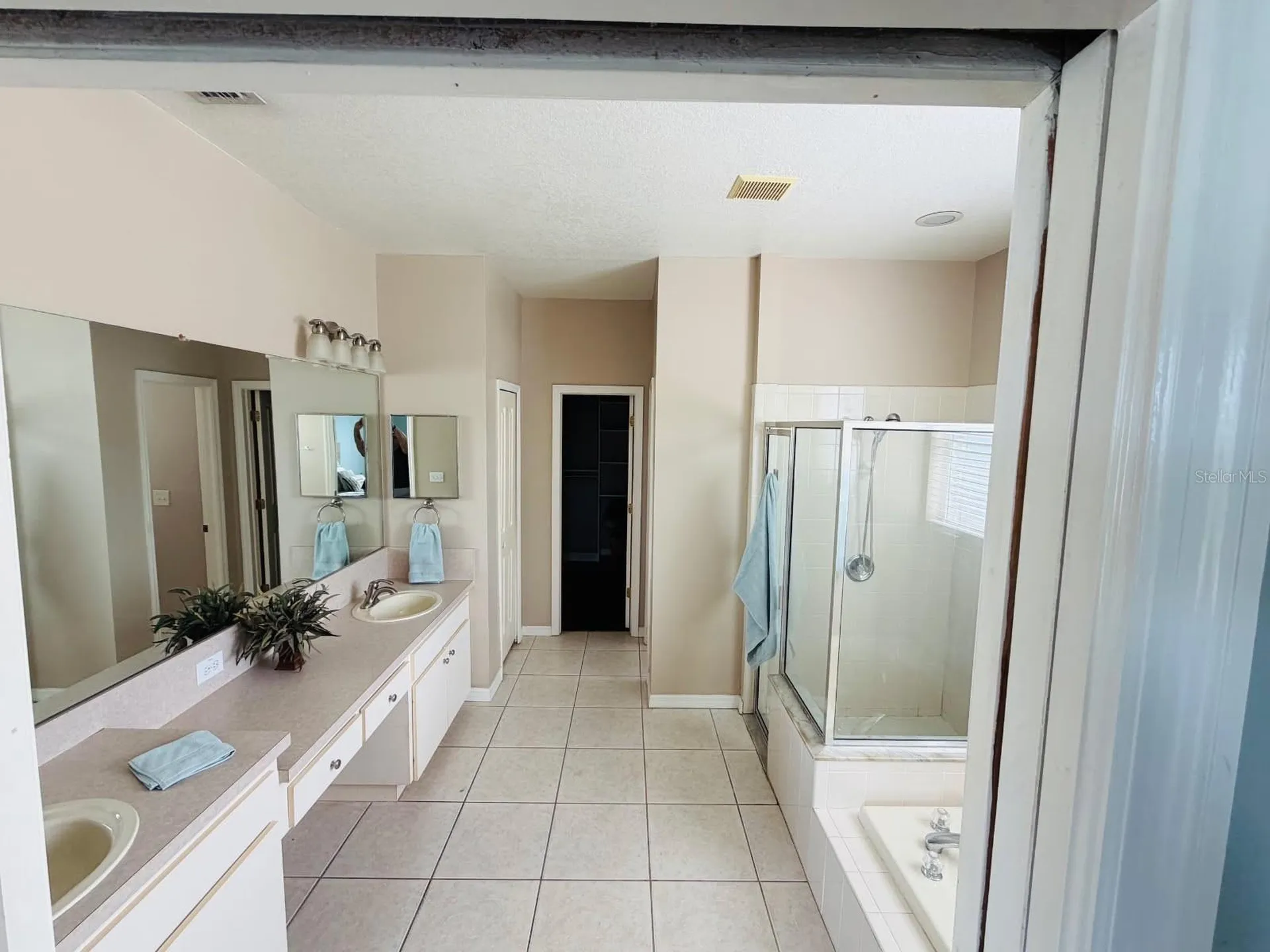29641 Eagle Station Drive Wesley Chapel FL 33543