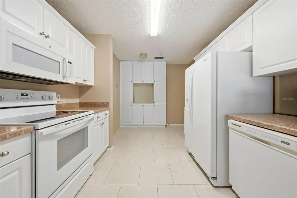 1607 Navidad Street The Villages FL 32162