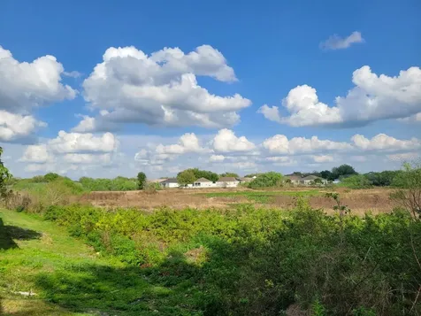 1314 Avonwood Court Lutz FL 33559