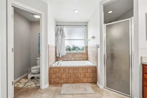 4181 Waltham Forest Drive Tavares FL 32778