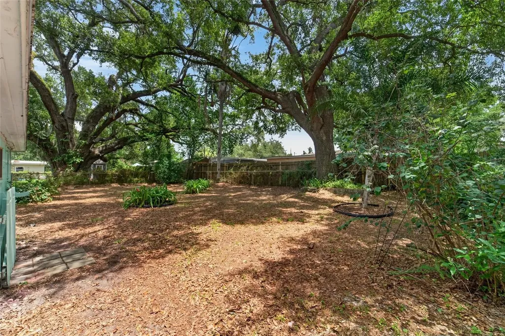 3009 E Fern Street Tampa FL 33610