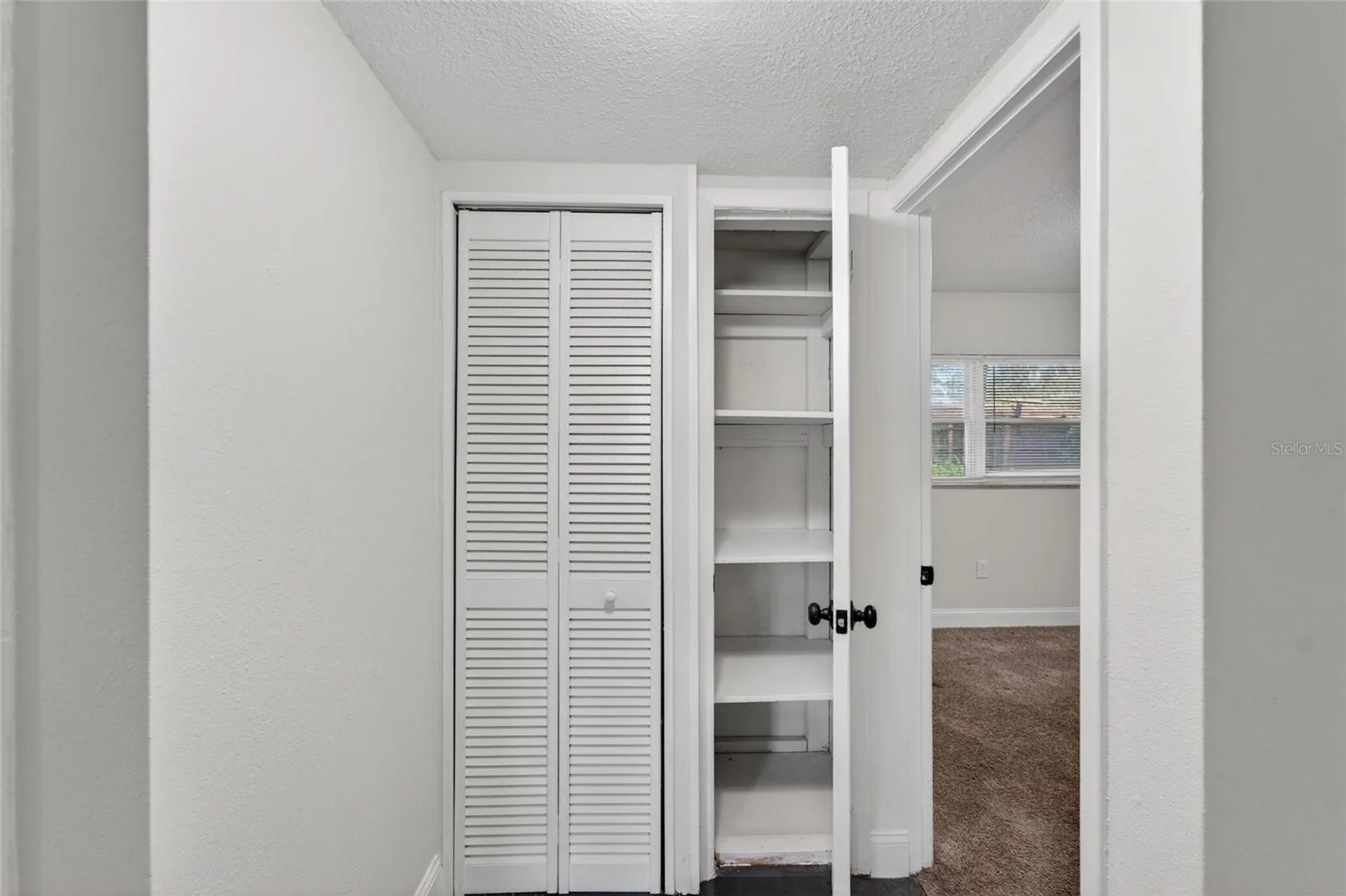 3009 E Fern Street Tampa FL 33610