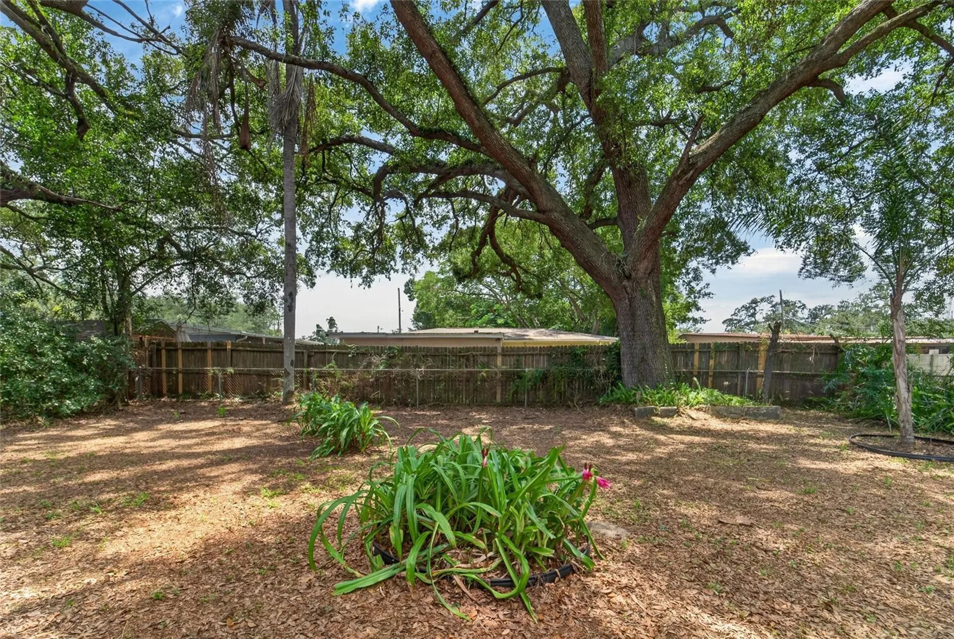3009 E Fern Street Tampa FL 33610