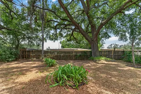 3009 E Fern Street Tampa FL 33610