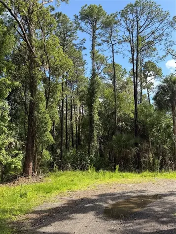 1340 Jayce Court Geneva FL 32732