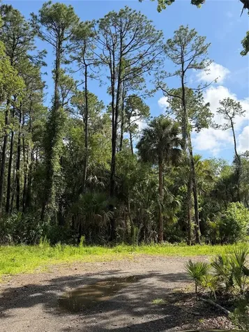 1340 Jayce Court Geneva FL 32732