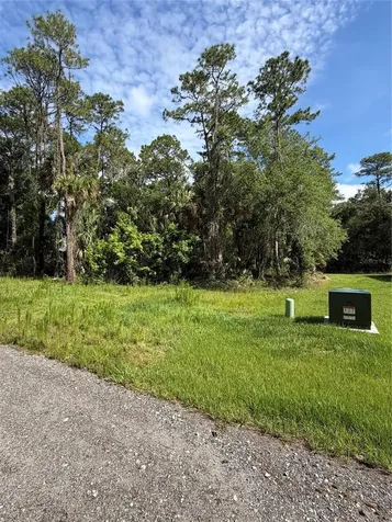 1340 Jayce Court Geneva FL 32732