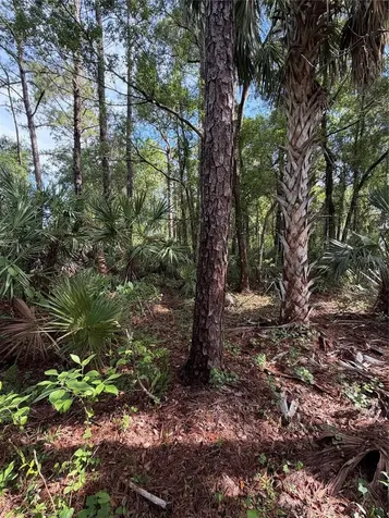 1340 Jayce Court Geneva FL 32732