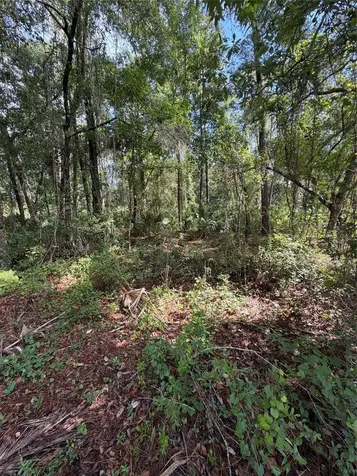 1340 Jayce Court Geneva FL 32732