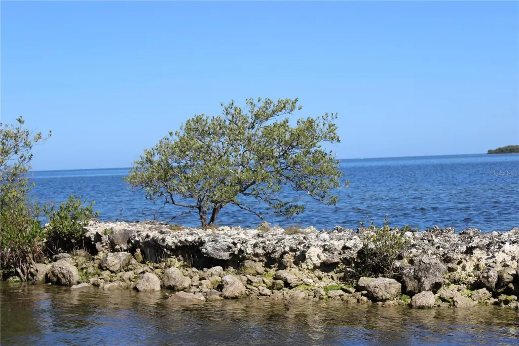 6416 Boatyard Drive Hudson FL 34667