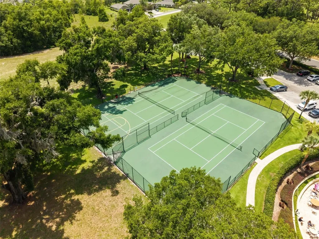 34004 Alameda Drive Sorrento FL 32776