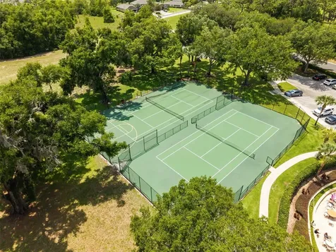 34004 Alameda Drive Sorrento FL 32776