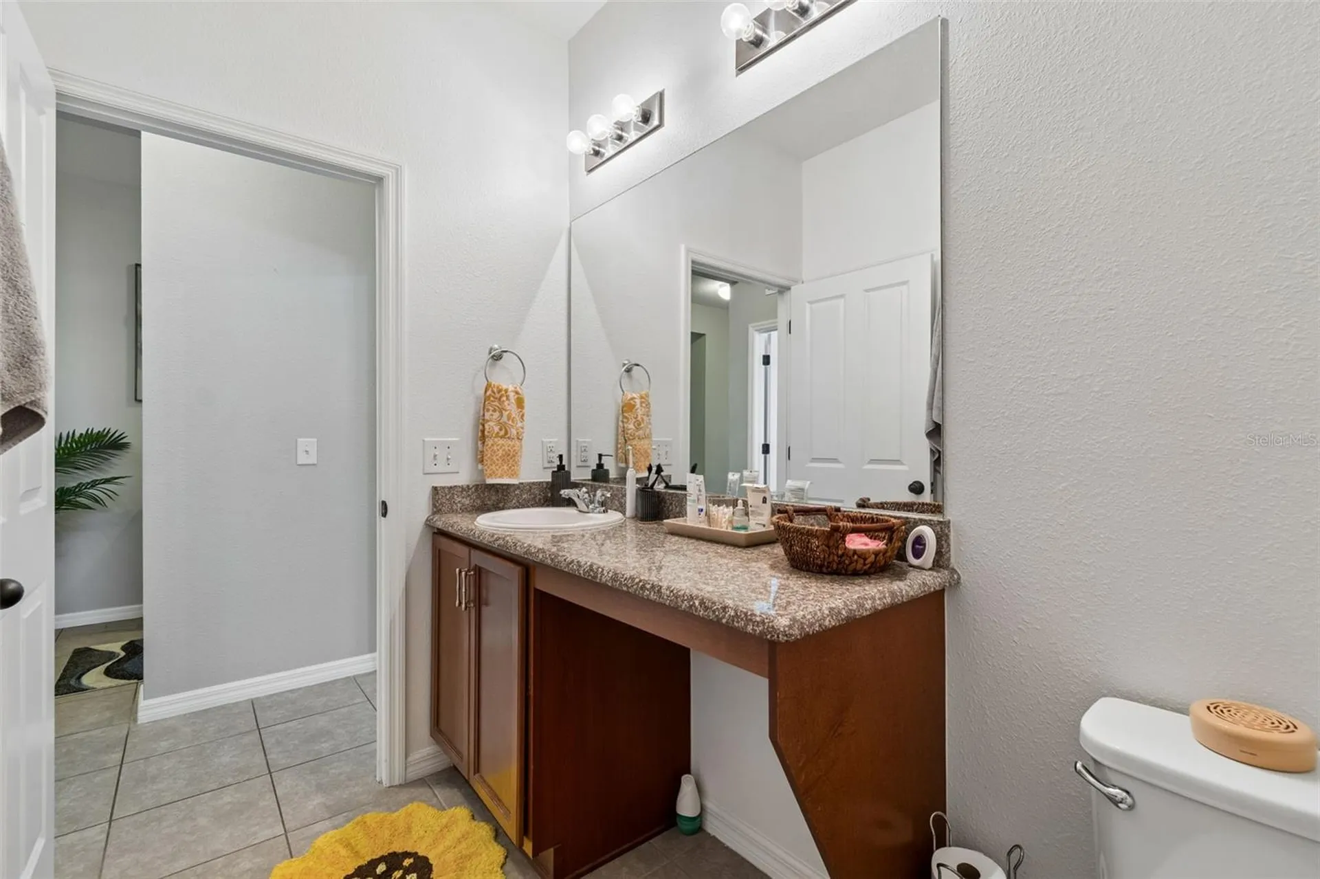 10626 Laguna Plains Drive Riverview FL 33578