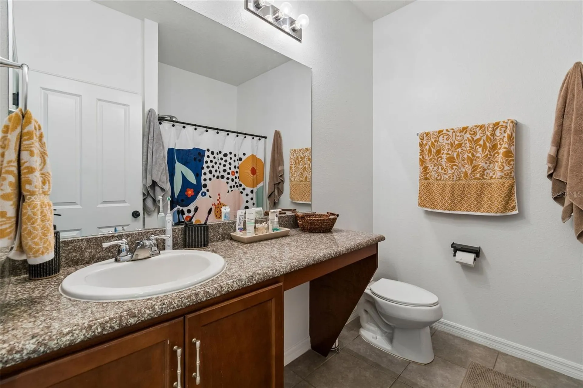 10626 Laguna Plains Drive Riverview FL 33578