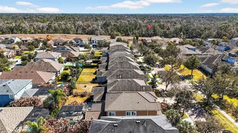 14310 Barrington Stowers Drive Lithia FL 33547