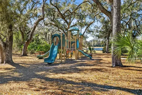14310 Barrington Stowers Drive Lithia FL 33547